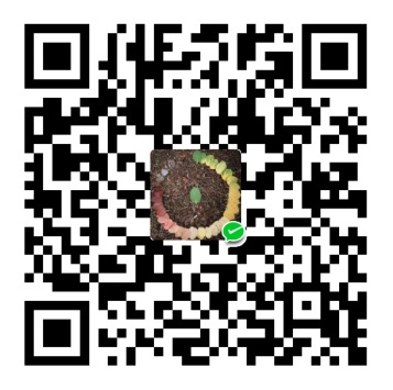 ZorroYe 微信